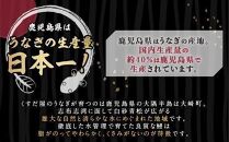 【数量限定】有頭うなぎ白焼き3尾セット（合計450g以上）