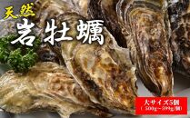 天然岩牡蠣（加熱食用）大サイズ5個入　