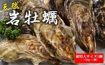 天然岩牡蠣（加熱食用）超特大サイズ5個入　