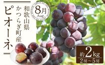 定期便全3回 和歌山の人気の夏のフルーツをお届け！ ［TM204］