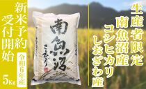 【新米予約・令和6年産】精米５Kg 生産者限定 南魚沼しおざわ産コシヒカリ