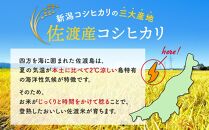 無洗米10kg 新潟県佐渡産コシヒカリ10kg(5kg×2)×3回「3カ月定期便」