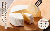 八雲チーズ村　チーズセット【 チーズ チーズセット カマンベール カチョカバロ プチ・ペンケル モッツァレラ 食品 お取り寄せ お取り寄せグルメ 八雲町 北海道 】