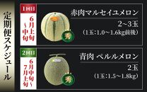 【先行予約】《定期便全2回》佐藤農園のメロン好きにはたまらん！赤肉青肉食べ比べ（マルセイユ・ペルルメロン）計4～5玉 農家直送 秀品 お届け！/ 特産 旬 夏 果物 完熟 メロン 朝どれ 美味しい お取り寄せ ※2025年6月上旬より順次発送