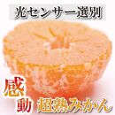 家庭用 超熟有田みかん2.5kg+75g（傷み補償分）訳あり＜2024年11月より発送＞