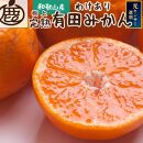 家庭用 完熟有田みかん3kg+90g（傷み補償分）訳あり＜先行予約＞