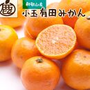 厳選 小玉な有田みかん2.5kg+75g（傷み補償分）＜11月より発送＞