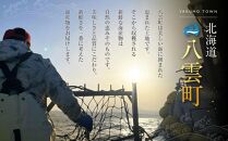辛子明太子切子2.2kg(550g×4箱) 【 北海道 海産物 魚介類 水産物応援 水産物支援 年内発送 年内配送 】