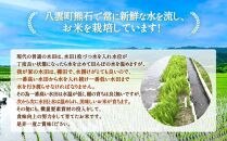 【先行予約】北海道八雲町熊石産 令和6年度産ゆめぴりか10kg[5kg×2袋](精白米)24年10月上旬～発送開始【 北海道八雲町熊石産 ゆめぴりか 10kg 精白米 米 お米 おこめ コメ こめ おうちごはん 家庭用 八雲町 北海道 年内発送 年内配送 】