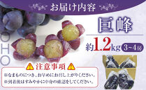先行予約&nbsp;和歌山&nbsp;有田産&nbsp;巨峰&nbsp;1.2kg&nbsp;3~4房&nbsp;フルーツ&nbsp;果物&nbsp;［2026年8月下旬以降発送］