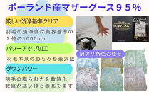 訳あり羽毛布団&nbsp;シングル&nbsp;&nbsp;羽毛掛け布団&nbsp;ポーランド産マザーグース95&nbsp;羽毛ふとん&nbsp;羽毛掛けふとん&nbsp;立体ダウンパワー470&nbsp;&nbsp;本掛け羽毛布団&nbsp;本掛け羽毛掛け布団&nbsp;寝具&nbsp;冬用羽毛布団&nbsp;訳アリ【BE107】