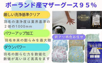 訳あり羽毛布団&nbsp;シングル&nbsp;&nbsp;羽毛掛け布団&nbsp;ポーランド産マザーグース95&nbsp;羽毛ふとん&nbsp;羽毛掛けふとん&nbsp;二層&nbsp;ダウンパワー470&nbsp;&nbsp;本掛け羽毛布団&nbsp;本掛け羽毛掛け布団&nbsp;寝具&nbsp;冬用羽毛布団&nbsp;訳アリ【BE111】