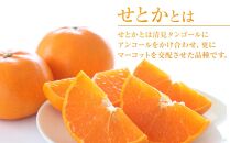 せとか（ハウス）約5kg（М以上）家庭用【2026年3月から発送】