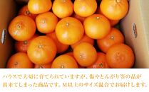 せとか（ハウス）約5kg（М以上）家庭用【2026年3月から発送】