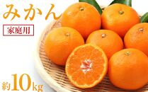 みかん&nbsp;約10kg（家庭用）【2025年11月下旬から発送】【柑橘&nbsp;フルーツ&nbsp;果物&nbsp;くだもの&nbsp;食品&nbsp;人気&nbsp;おすすめ&nbsp;広島県&nbsp;尾道市】