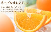 ネーブルオレンジ 約5kg（L・2L・3L）【2026年2月から発送開始】【柑橘 フルーツ 果物 くだもの 食品 人気 おすすめ 広島県 尾道市】