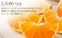 しらぬい&nbsp;約3kg（2L・3L）【&nbsp;2026年2月下旬から発送】【不知火&nbsp;柑橘&nbsp;フルーツ&nbsp;果物&nbsp;くだもの&nbsp;食品&nbsp;人気&nbsp;おすすめ&nbsp;広島県&nbsp;尾道市】