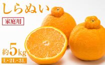 しらぬい 約5kg（家庭用）【2026年2月から発送】【不知火 柑橘 フルーツ 果物 くだもの 食品 人気 おすすめ 広島県 尾道市】