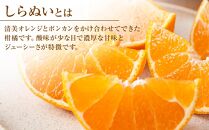 しらぬい&nbsp;約5kg（家庭用）【2026年2月から発送】【不知火&nbsp;柑橘&nbsp;フルーツ&nbsp;果物&nbsp;くだもの&nbsp;食品&nbsp;人気&nbsp;おすすめ&nbsp;広島県&nbsp;尾道市】