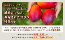 【訳あり】1kg 大崎完熟マンゴー「郷の恵（さとのめぐみ）」加工用マンゴー（糖度10度前後）