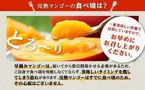 【訳あり】1kg 大崎完熟マンゴー「郷の恵（さとのめぐみ）」加工用マンゴー（糖度10度前後）