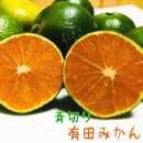 青切り 有田みかん  和歌山県産 5kg　【先行予約】【発送時期：2023年9月中旬～2023年10月中旬】