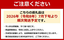 先行予約【わけあり品】八色原すいか大玉１玉【2026年7月下旬発送】【お届け日時指定不可】