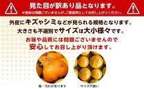 【訳あり 家庭用】由布岳を眺める棚田育ちの甘柿『上西早生』 約5kg【先行予約／数量限定】