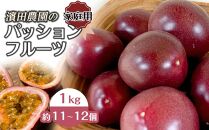 先行予約 ☆ 濱田農園 パッションフルーツ ☆ 1kg ( 11～12個 ) 家庭用
