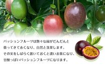 先行予約 ☆ 濱田農園 パッションフルーツ ☆ 1kg ( 11～12個 ) 家庭用
