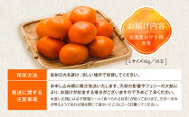 【先行予約】【2026年10月中旬より順次発送】柿&nbsp;おけさ柿&nbsp;赤秀&nbsp;Lサイズ&nbsp;18玉&nbsp;《種なし&nbsp;芳醇な甘み》マルハおけさ柿ブランド