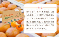 【先行予約】【2026年10月中旬より順次発送】柿&nbsp;おけさ柿&nbsp;赤秀&nbsp;Lサイズ&nbsp;18玉&nbsp;《種なし&nbsp;芳醇な甘み》マルハおけさ柿ブランド