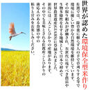 【令和7年度産新米・先行予約】佐渡産コシヒカリ&nbsp;そのまんま真空パック&nbsp;900g×12袋セット