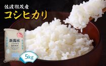 【令和6年度産新米】佐渡羽茂産コシヒカリ 5kg