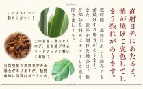 【観葉植物】オーガスタ 10号 ブラウンバスケット鉢カバー 土の表面:ウッドチップ｜観葉植物 インテリア 部屋 おしゃれ 福岡県筑前町 送料無料