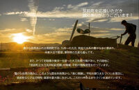 《先行予約》パキラ&nbsp;10号&nbsp;ストライプバスケット鉢カバー&nbsp;土の表面:ウッドチップ【観葉植物&nbsp;植物&nbsp;パキラ&nbsp;10号&nbsp;バスケット&nbsp;鉢付&nbsp;インテリア&nbsp;部屋&nbsp;室内&nbsp;オフィス&nbsp;癒し&nbsp;エコ&nbsp;グリーン&nbsp;マイナスイオン&nbsp;リラックス&nbsp;オシャレ&nbsp;おしゃれ&nbsp;ギフト&nbsp;プレゼント&nbsp;贈り物&nbsp;人気&nbsp;おすすめ&nbsp;&nbsp;福岡県筑前町&nbsp;送料無料&nbsp;AG010】