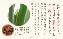 【観葉植物】オーガスタ 7号 ホワイトスクエア陶器鉢SW 土の表面:ウッドチップ 【観葉植物 植物 鉢付 インテリア 部屋 室内 オフィス 癒し エコ グリーン マイナスイオン リラックス オシャレ おしゃれ ギフト プレゼント 贈り物 人気 おすすめ  福岡県筑前町 送料無料 AG015】