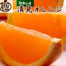 厳選清見オレンジ3.5kg+105g（傷み保証分）【光センサー食頃出荷】【樹上完熟きよみオレンジ・清見タンゴール・清美】＜4月より発送＞