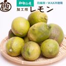 ＜9月より発送＞加工用 加工用黒潮レモン3kg+90g（傷み補償分）【和歌山有田産】【防腐剤・WAX不使用、安心の国産レモン】【わけあり・訳ありレモン】【果汁用】