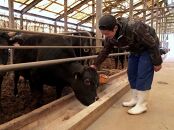 (全3回定期便)【A5～4等級】博多和牛サーロインステーキ&nbsp;200g×2枚