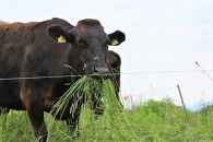 (全10回定期便)【A5～4等級】博多和牛サーロインステーキ&nbsp;200g×2枚