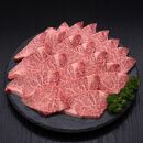 (全3回定期便)【訳あり】A5～4等級&nbsp;博多和牛ヒレ焼肉&nbsp;600g