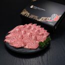 (全3回定期便)【訳あり】A5～4等級&nbsp;博多和牛ヒレ焼肉&nbsp;600g