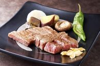 (全3回定期便)【訳あり】博多和牛ヒレサイコロステーキ(不揃い) 600g