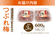 梅干し&nbsp;塩分3％&nbsp;600g&nbsp;(&nbsp;300g&nbsp;×&nbsp;2パック&nbsp;)&nbsp;はちみつ&nbsp;つぶれ梅&nbsp;紀州南高梅&nbsp;梅干&nbsp;和歌山&nbsp;グルメ&nbsp;人気&nbsp;うめ干し&nbsp;うめぼし&nbsp;つぶれ&nbsp;蜂蜜&nbsp;ウメボシ&nbsp;家庭用&nbsp;訳あり&nbsp;ワケアリ&nbsp;酸っぱいの苦手な方におすすめ&nbsp;はちみつ梅干し