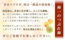 【毎月定期便12回】紀州南高梅《つぶれ梅セット》はちみつ梅 塩分3%(1.2kg)【白浜グルメ市場】