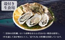 小豆島 天領真牡蠣 (殻付き生食用) 25個セット