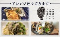 小豆島 天領真牡蠣 (殻付き生食用) 25個セット