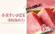 定期便全3回　和歌山の人気の夏のフルーツをお届け！