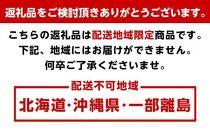 和歌山の旬の果実を 奇数月にお届け全6回定期便【TM49】